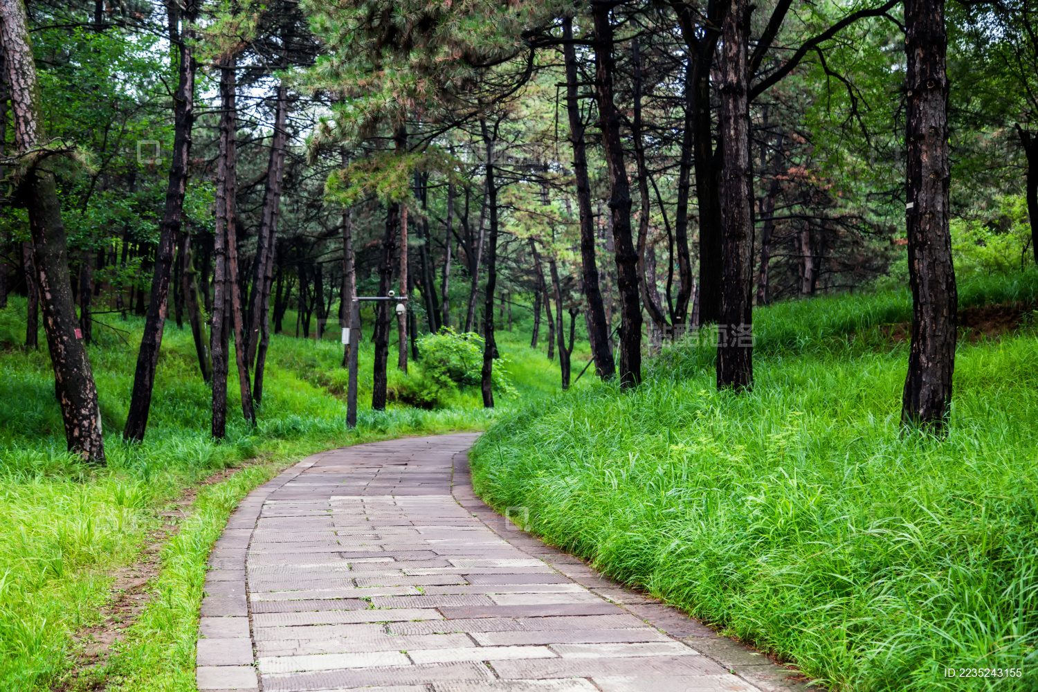 中国河北承德避暑山庄森林小路