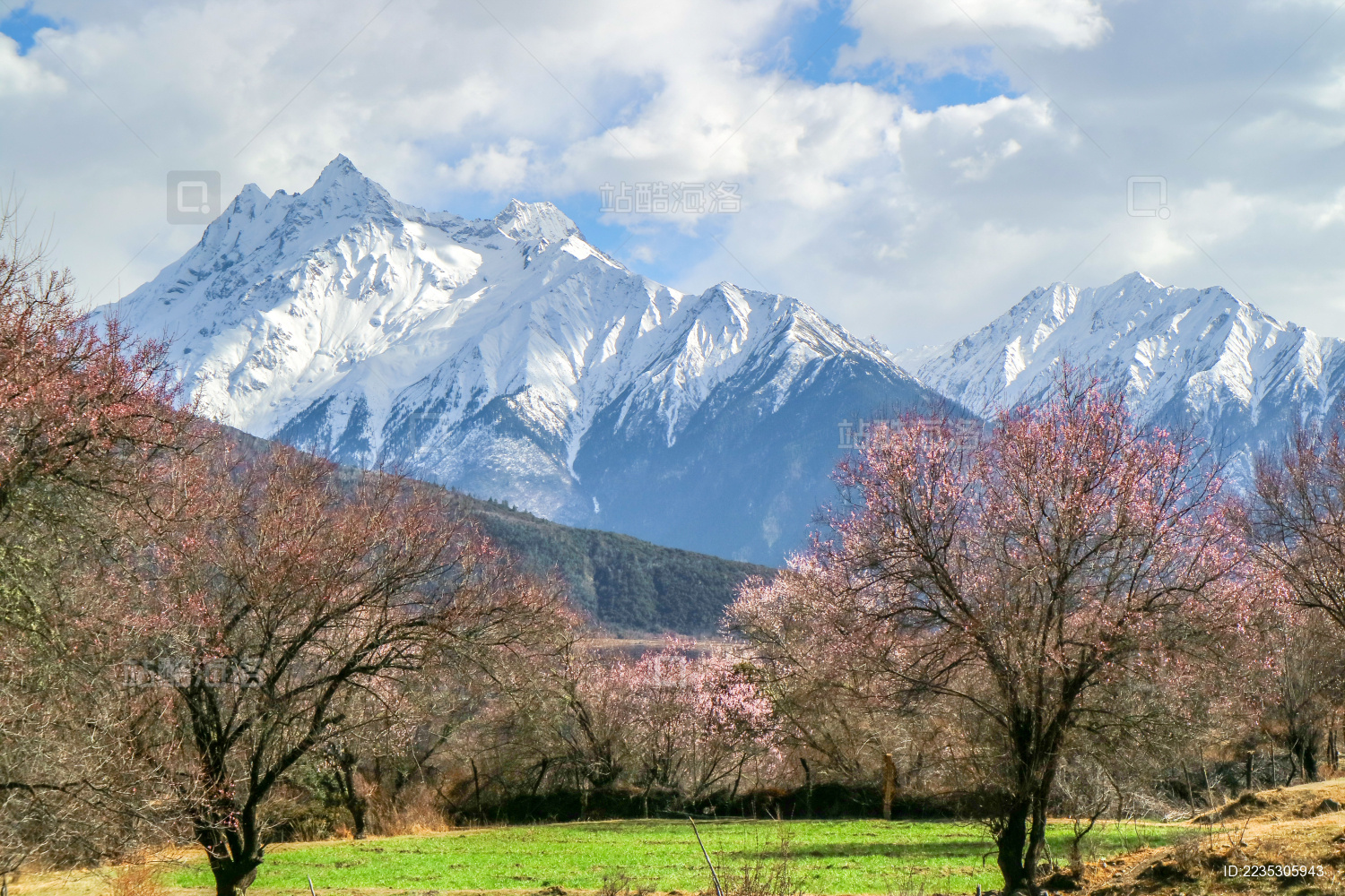 西藏自治区林芝雅安鲁藏布江风光