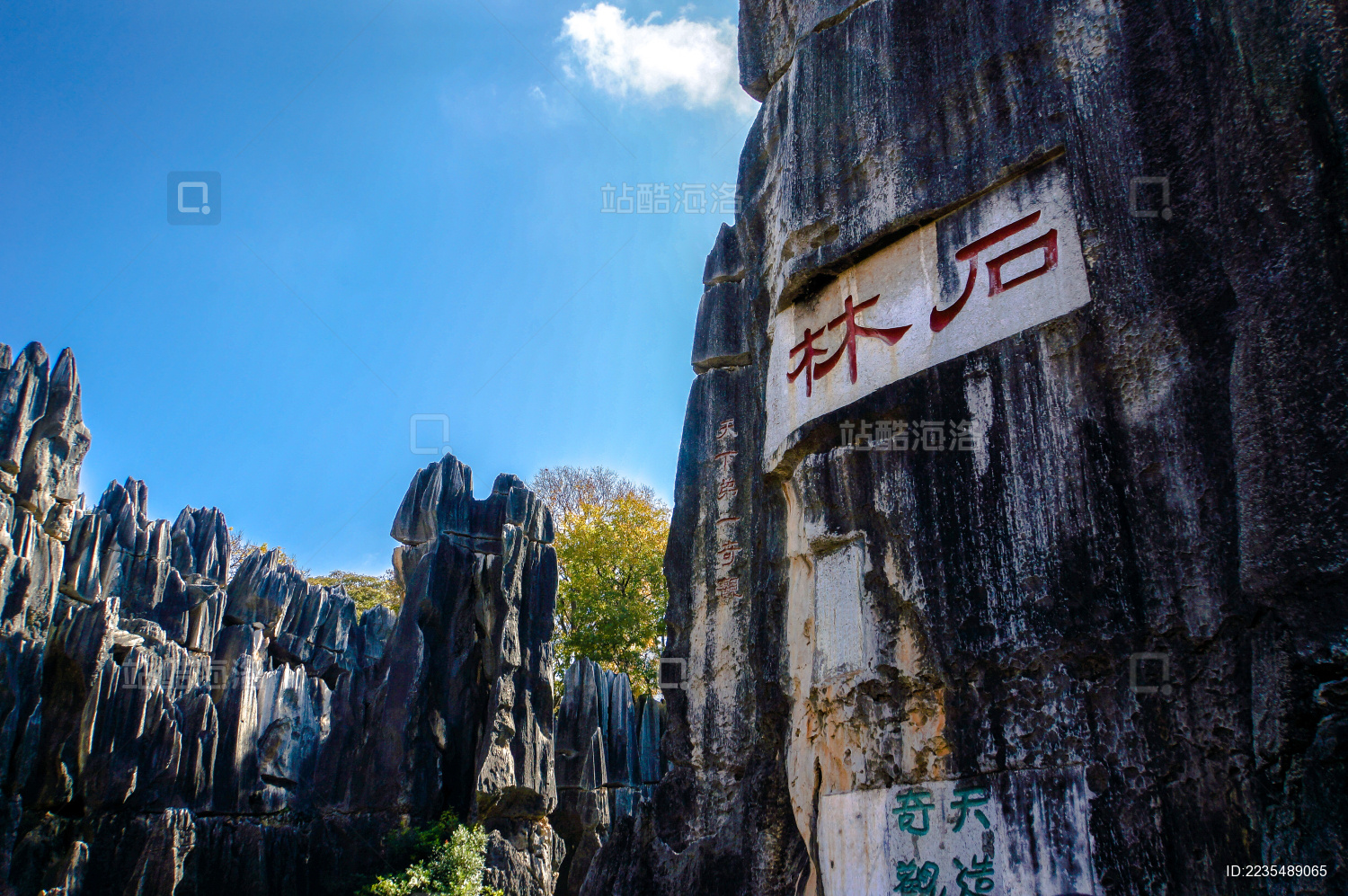 云南石林自然风光