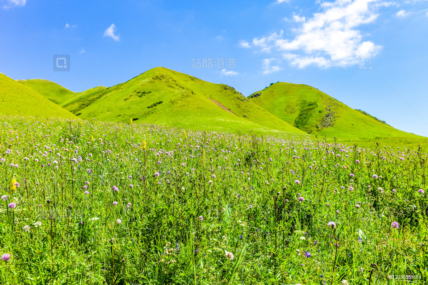 中国新疆博尔塔拉州博乐市夏尔希里夏季风光