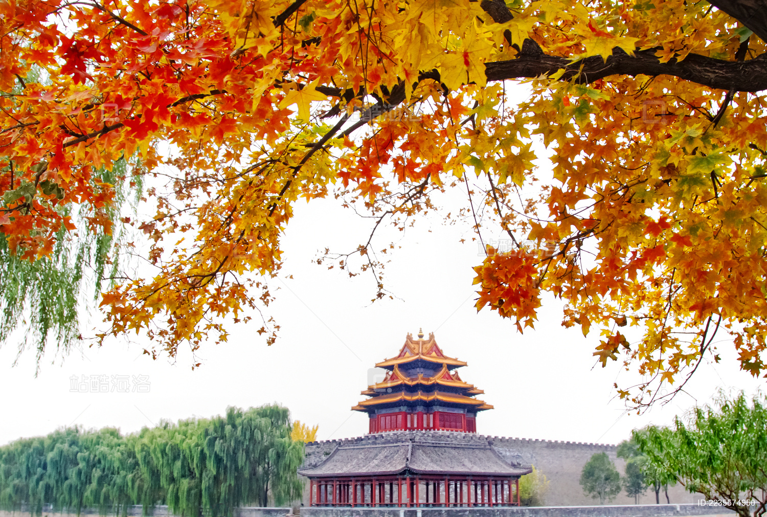 大美故宫--角楼