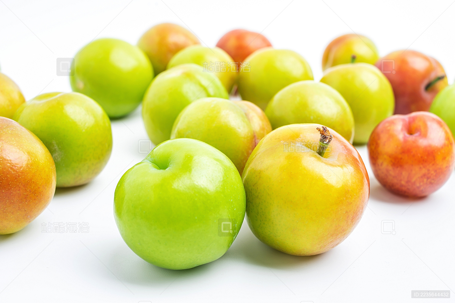 白背景上的李子