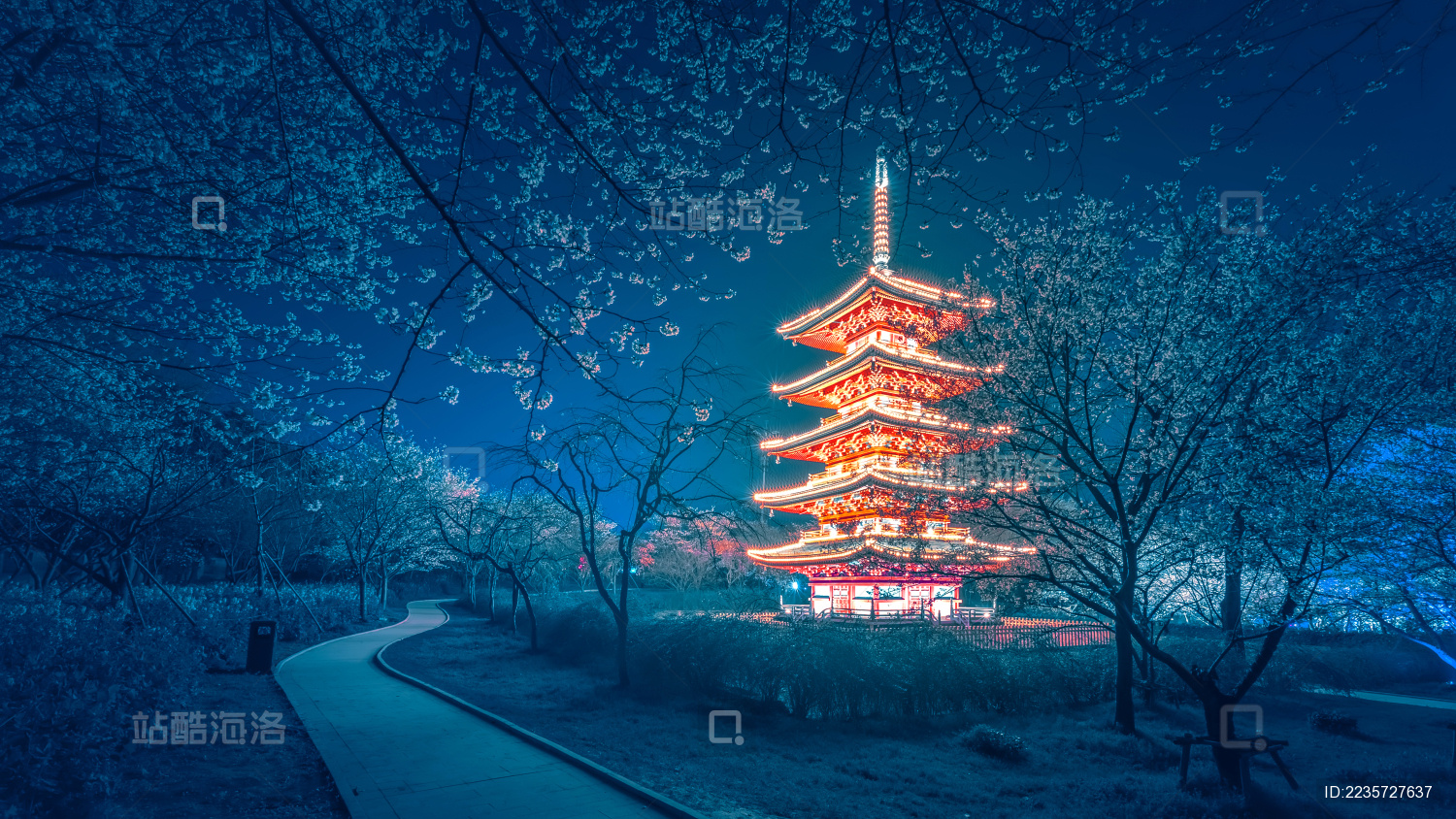 武汉樱园五重塔夜景
