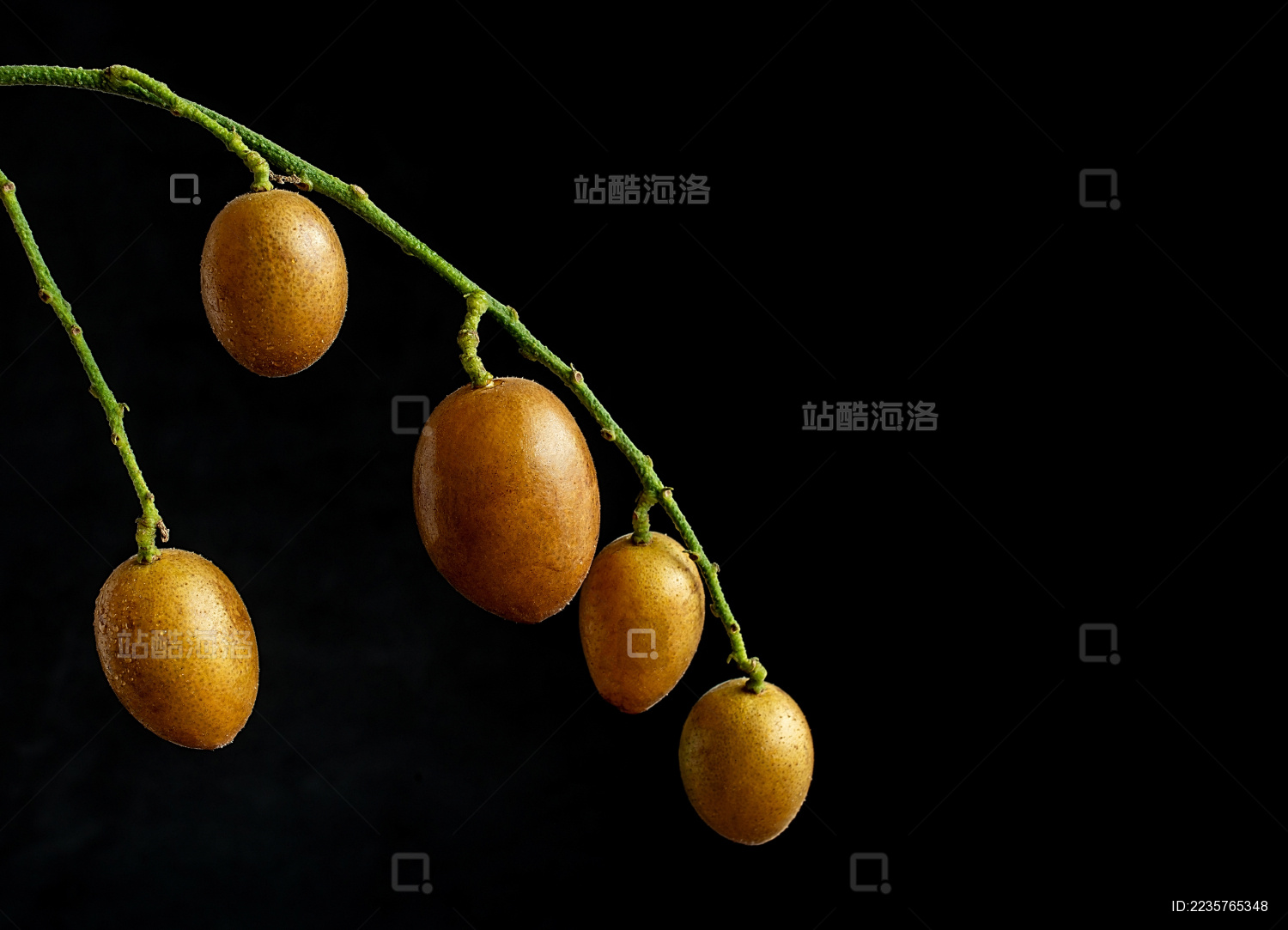 一串新鲜黄皮果在黑色背景上