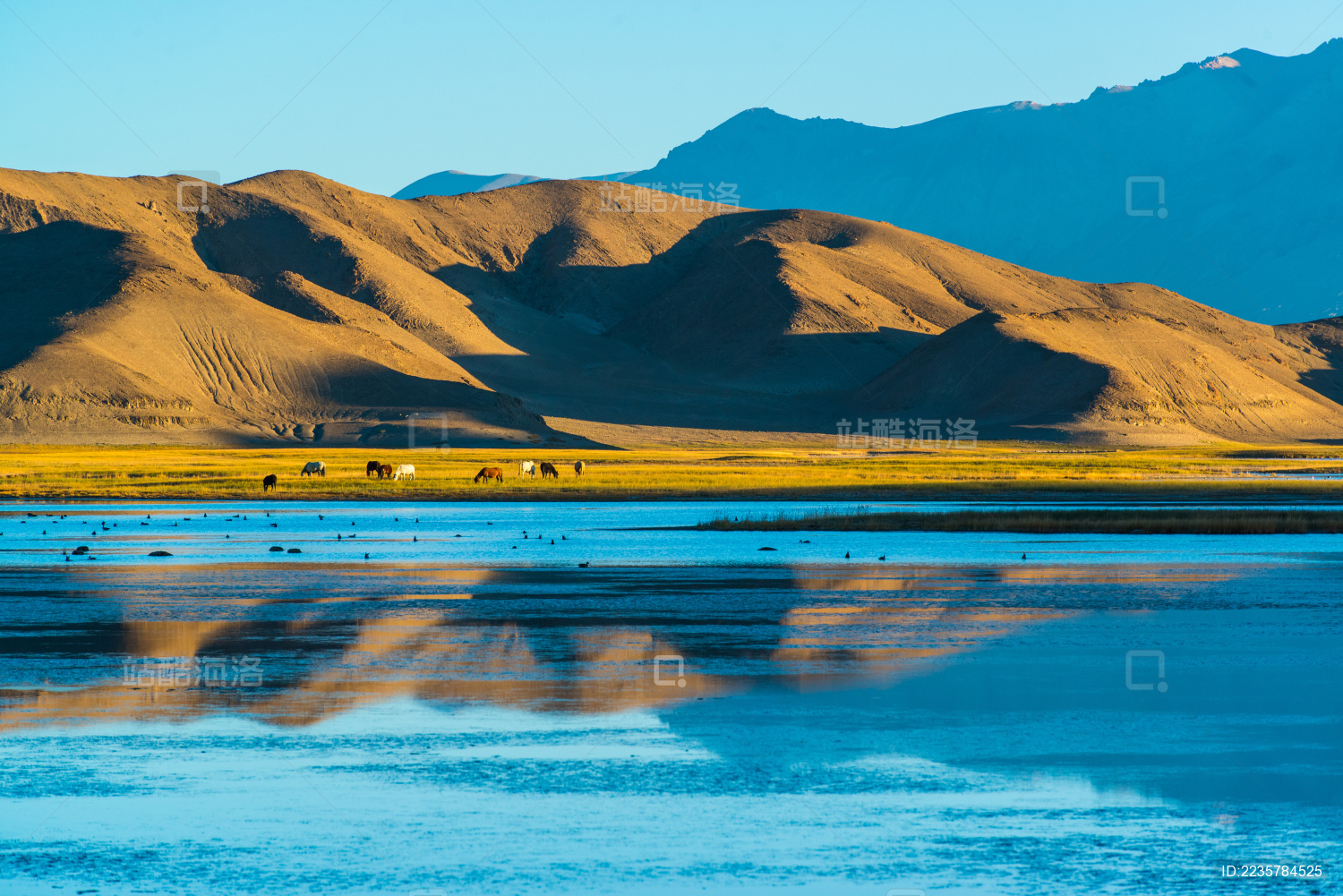 阿里地区班公错