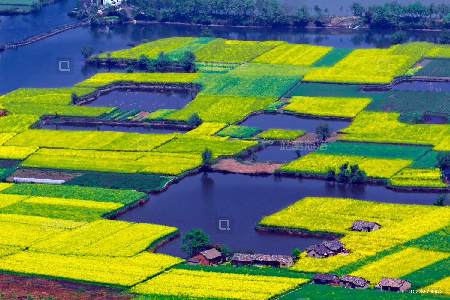 安徽省芜湖市响水涧油菜花田园乡村自然景观