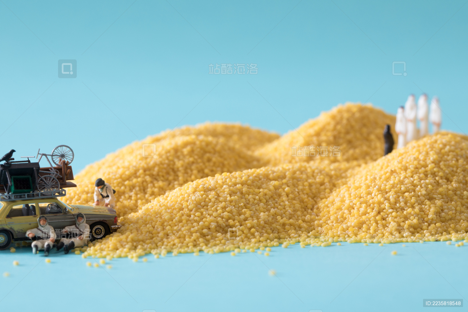 缩微小人 小人国 微距  miniature 小米 沙漠里的阿拉伯人 干货   五谷杂粮   特产   农产品   农家干货 White Jelly Fungus on blue background