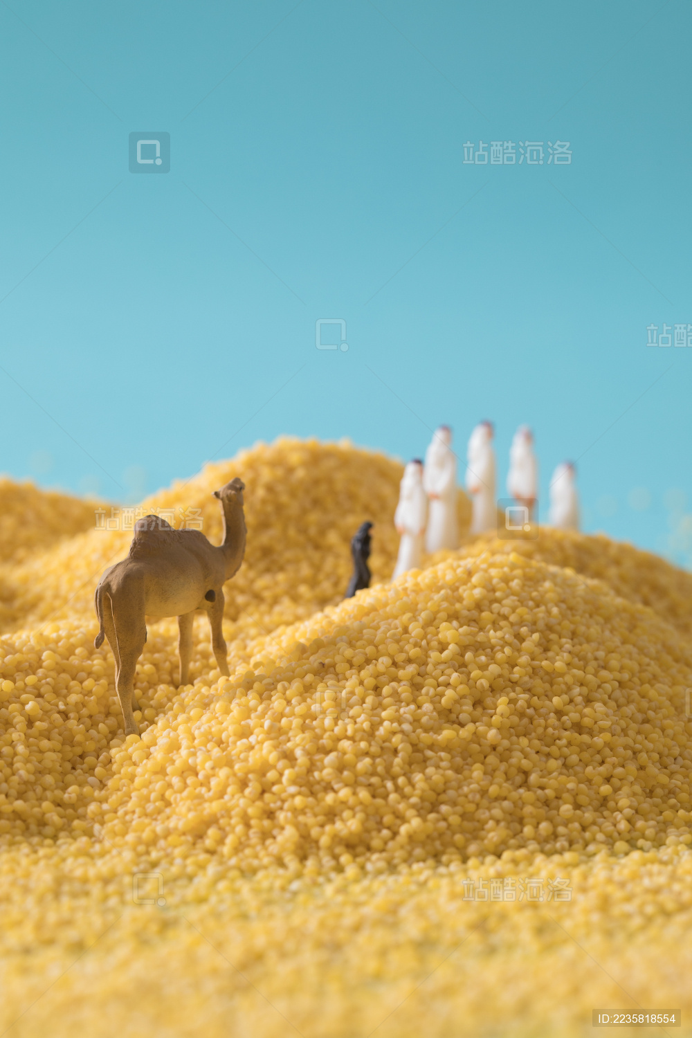 缩微小人 小人国 微距 miniature 小米 沙漠里的阿拉伯人 干货 五谷杂粮 特产 农产品 农家干货 White Jelly Fungus on blue background