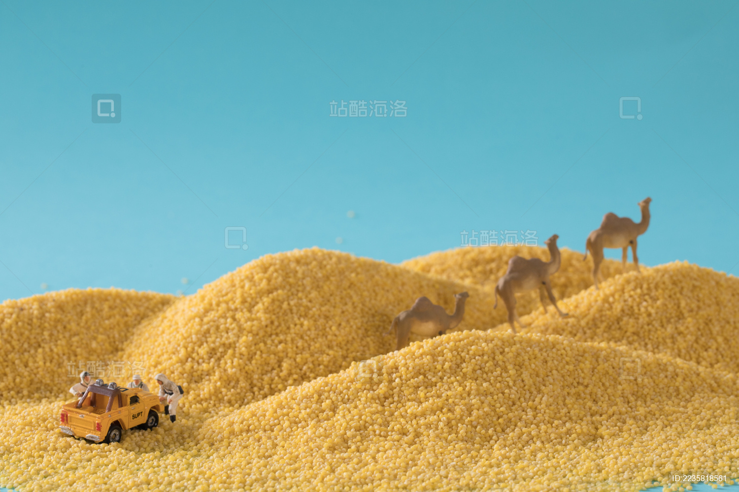 缩微小人 小人国 微距  miniature 小米 沙漠里的阿拉伯人 干货   五谷杂粮   特产   农产品   农家干货 White Jelly Fungus on blue background