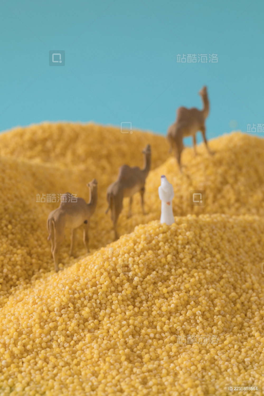 缩微小人 小人国 微距 miniature 小米 沙漠里的阿拉伯人 干货 五谷杂粮 特产 农产品 农家干货 White Jelly Fungus on blue background