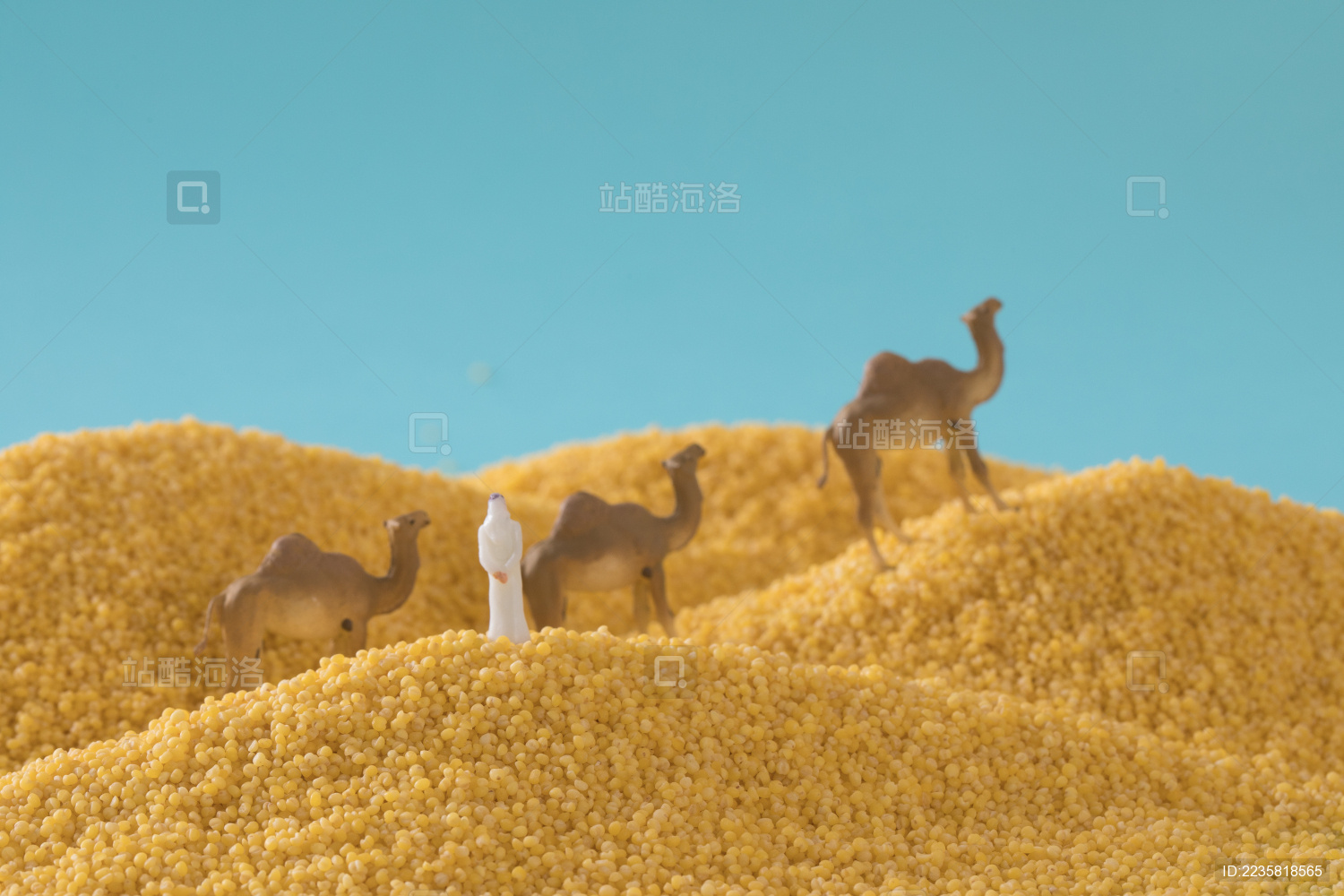 缩微小人 小人国 微距 miniature 小米 沙漠里的阿拉伯人 干货 五谷杂粮 特产 农产品 农家干货 White Jelly Fungus on blue background