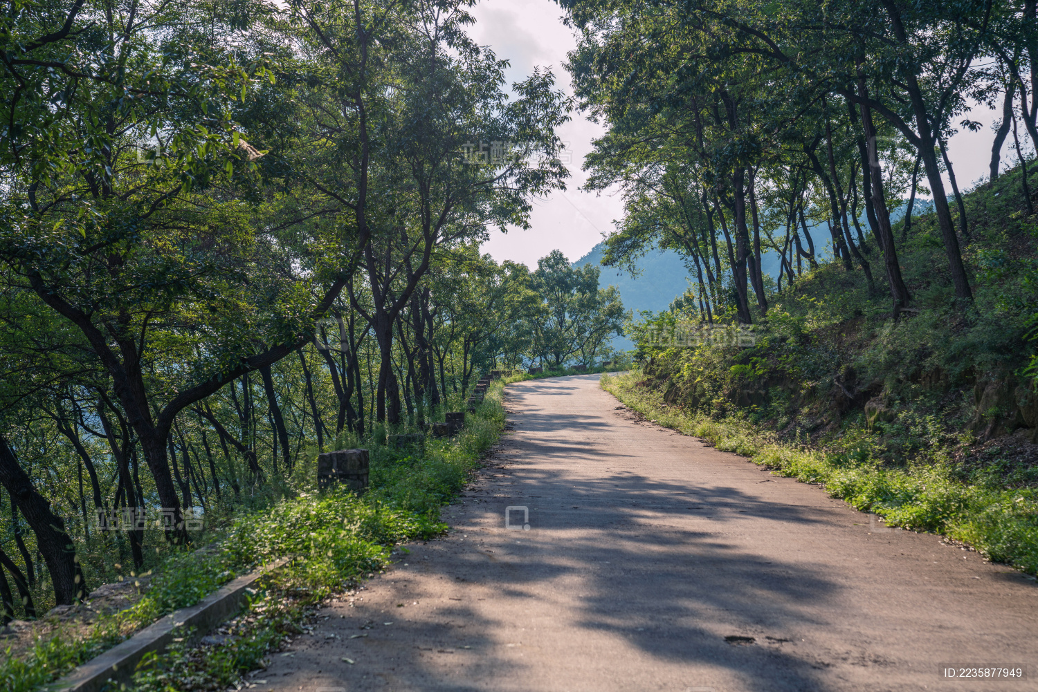 药乡国家森林公园的上山道路 环山路