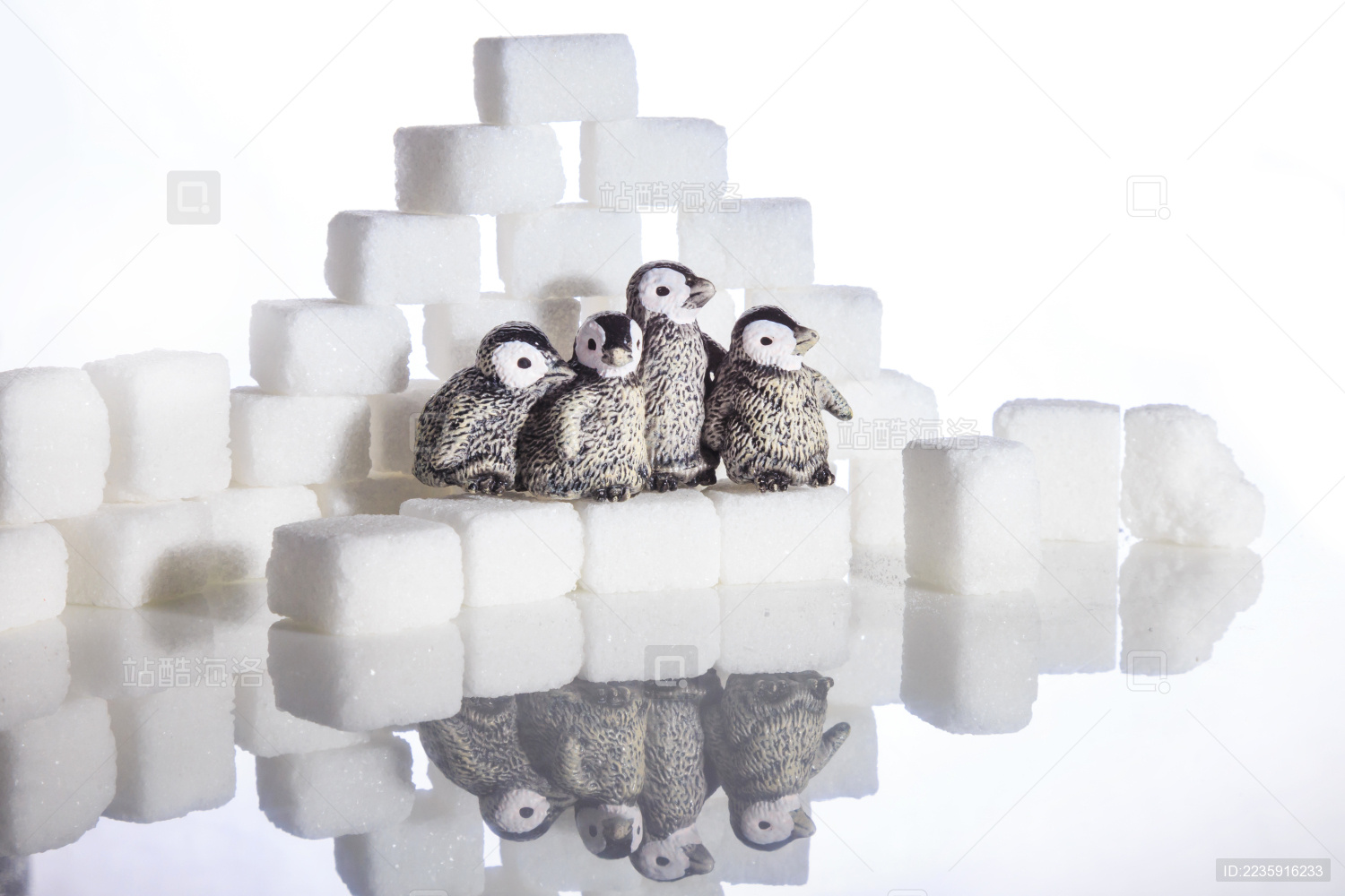 创意拍摄方糖与企鹅