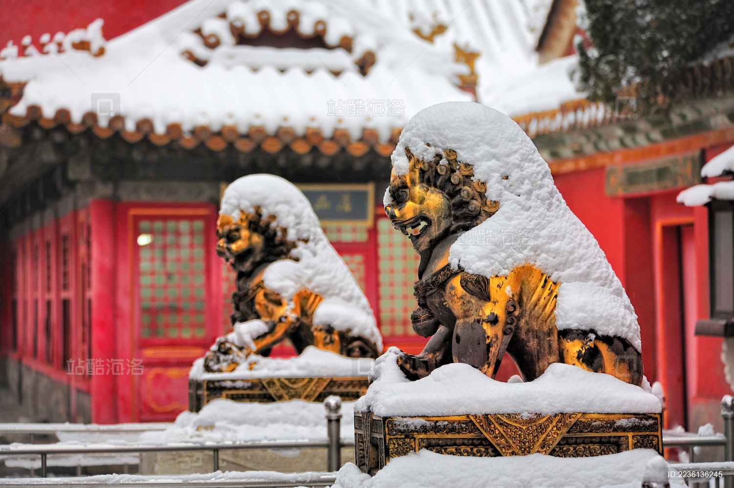 北京故宫养心殿铜狮