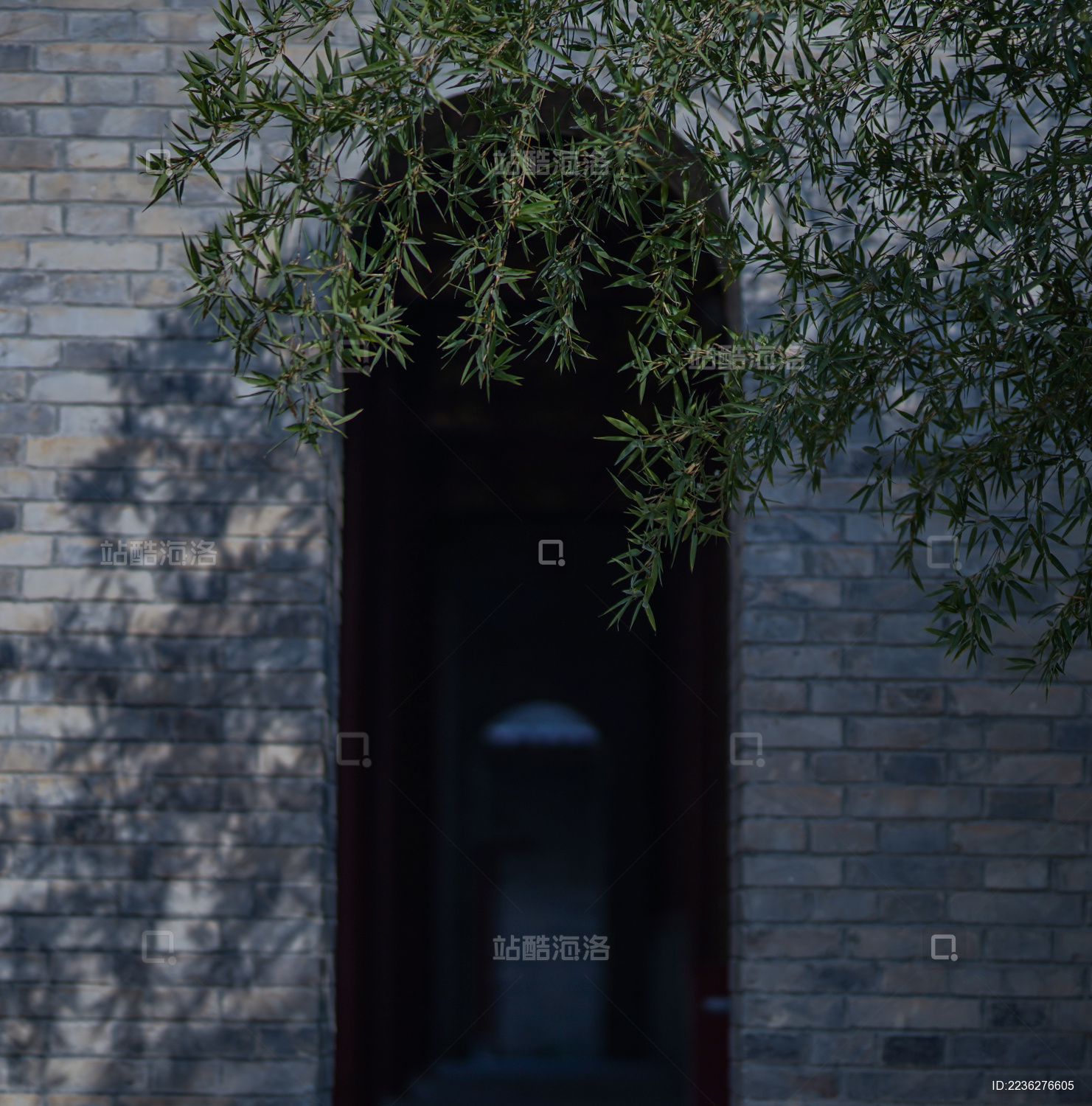 明暗分明的拱门