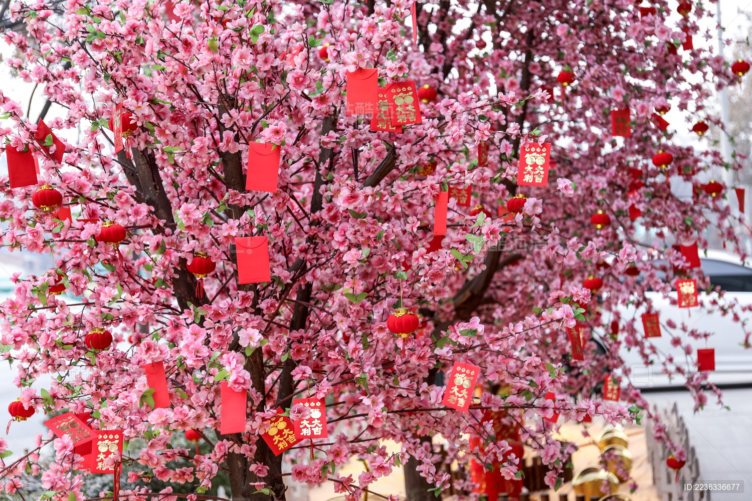广州的桃花美爆啦，目前是最佳观赏期，为桃花运走起~_国内新闻_环球网
