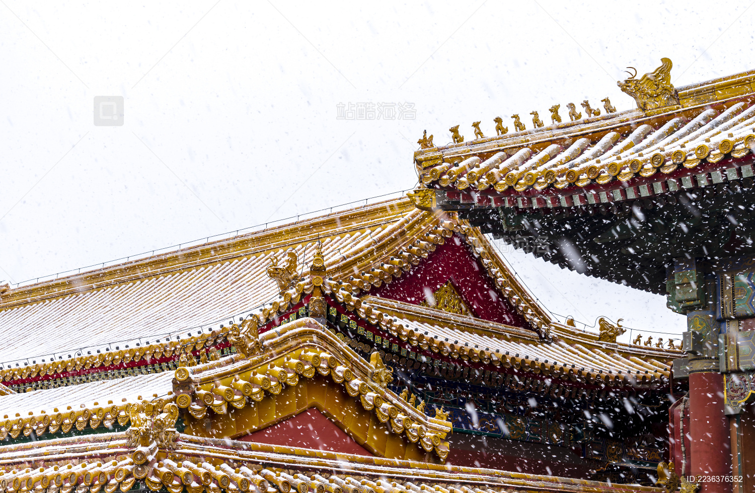 2019北京故宫春雪