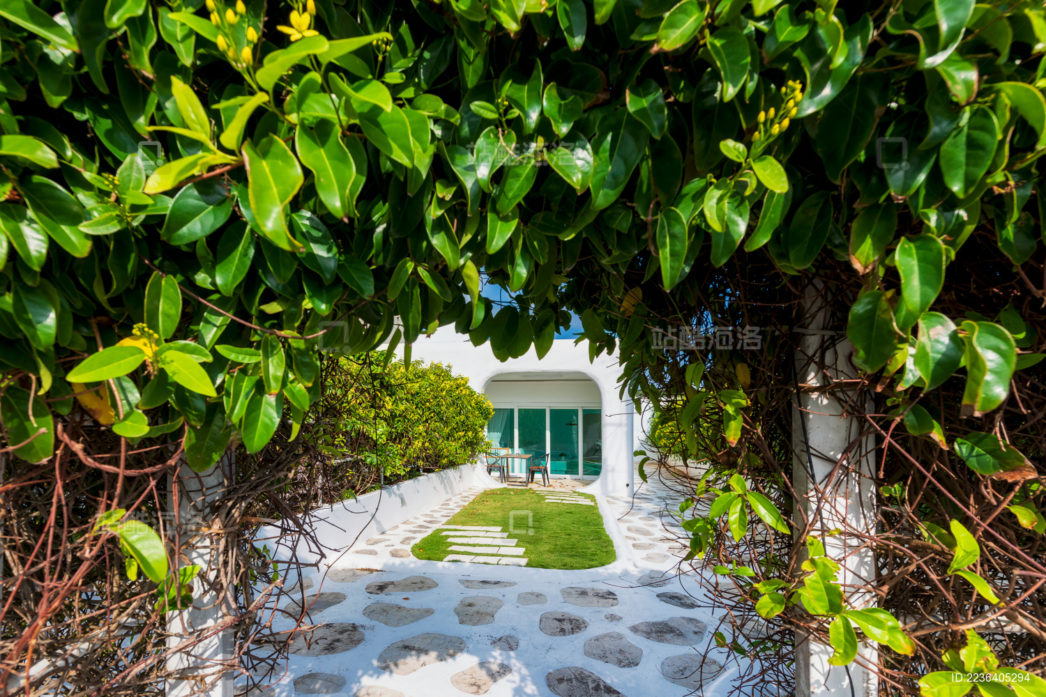 台湾南部乡村民宿门口的藤蔓植物