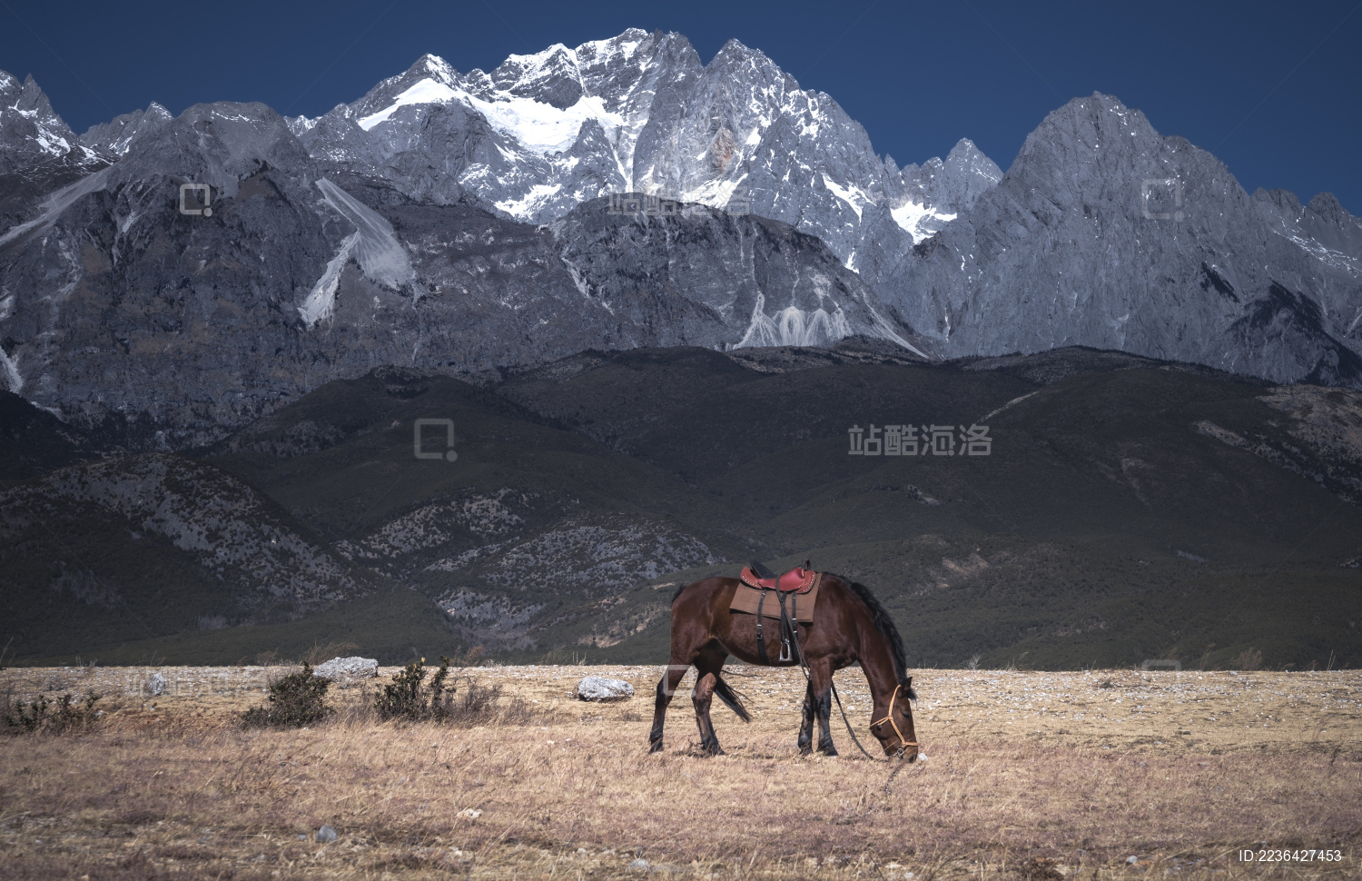 中国云南丽江玉龙雪山