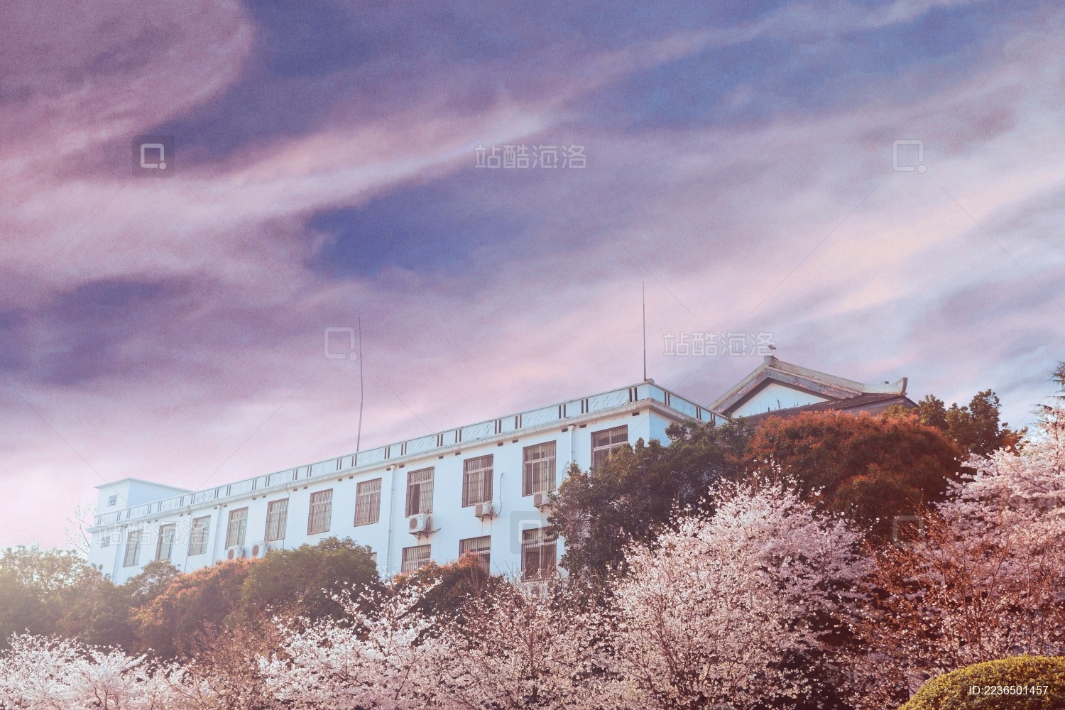 武汉大学樱花建筑交相辉映