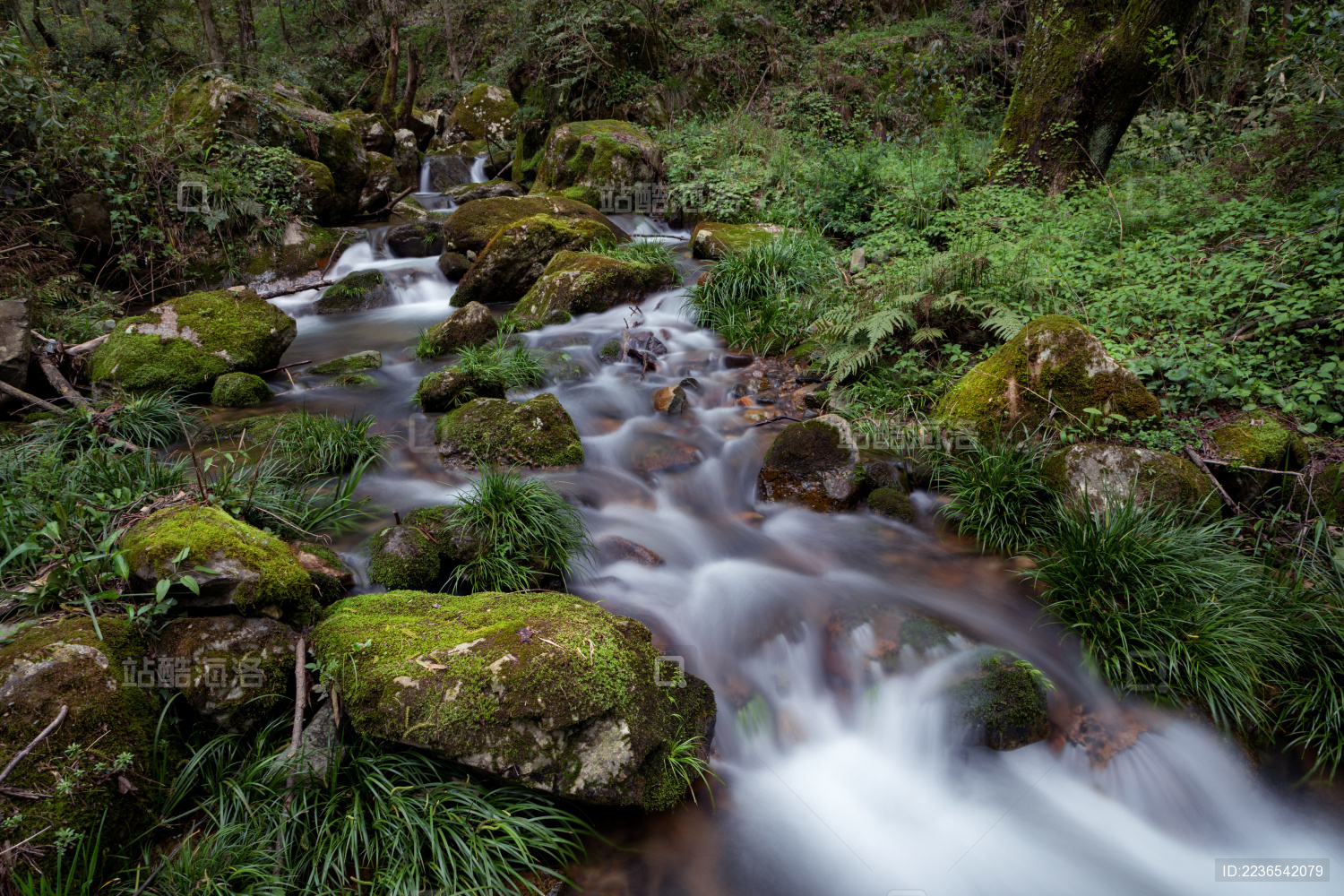 古道岩石水流青苔慢门摄影