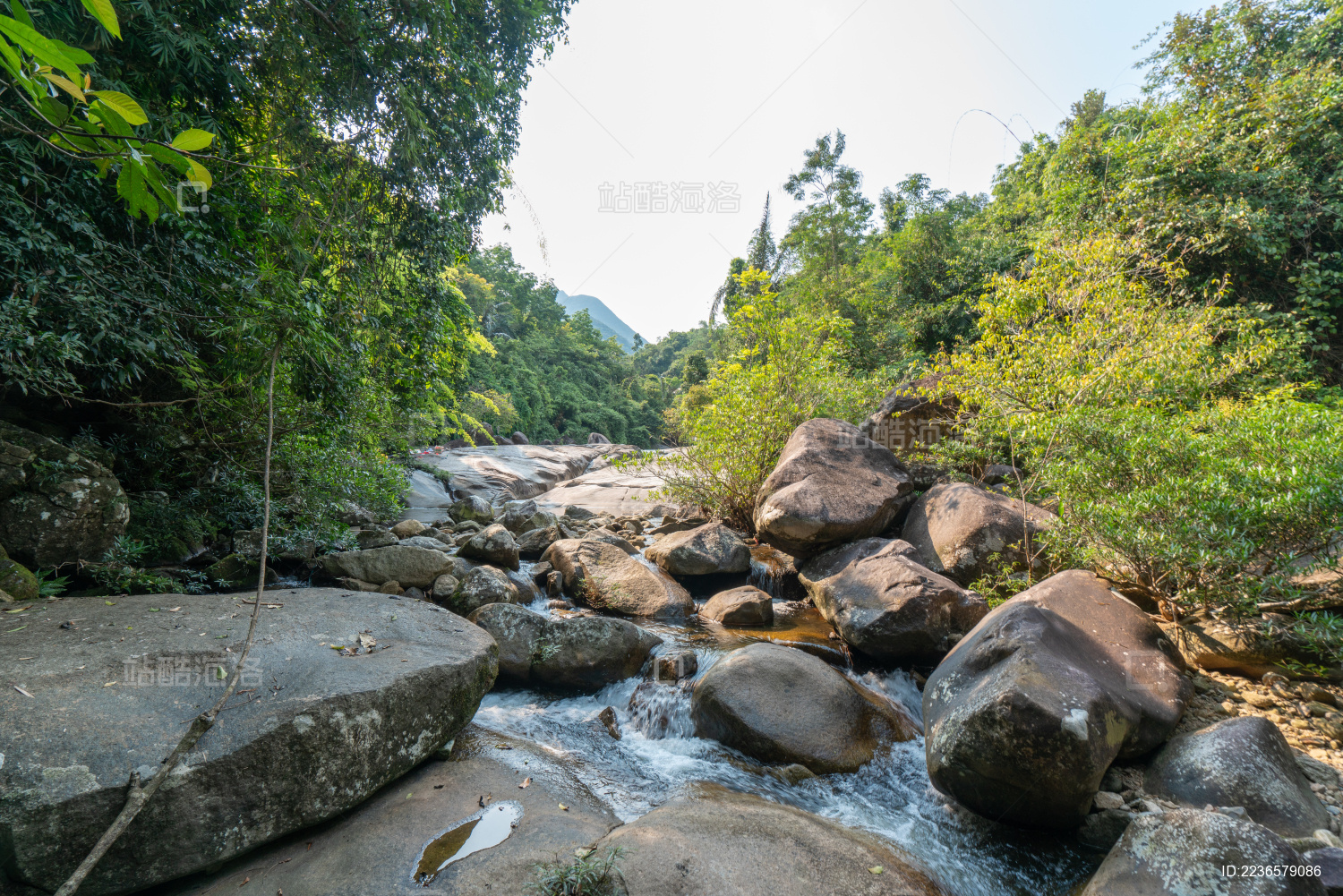海南白马岭热带雨林自然保护区