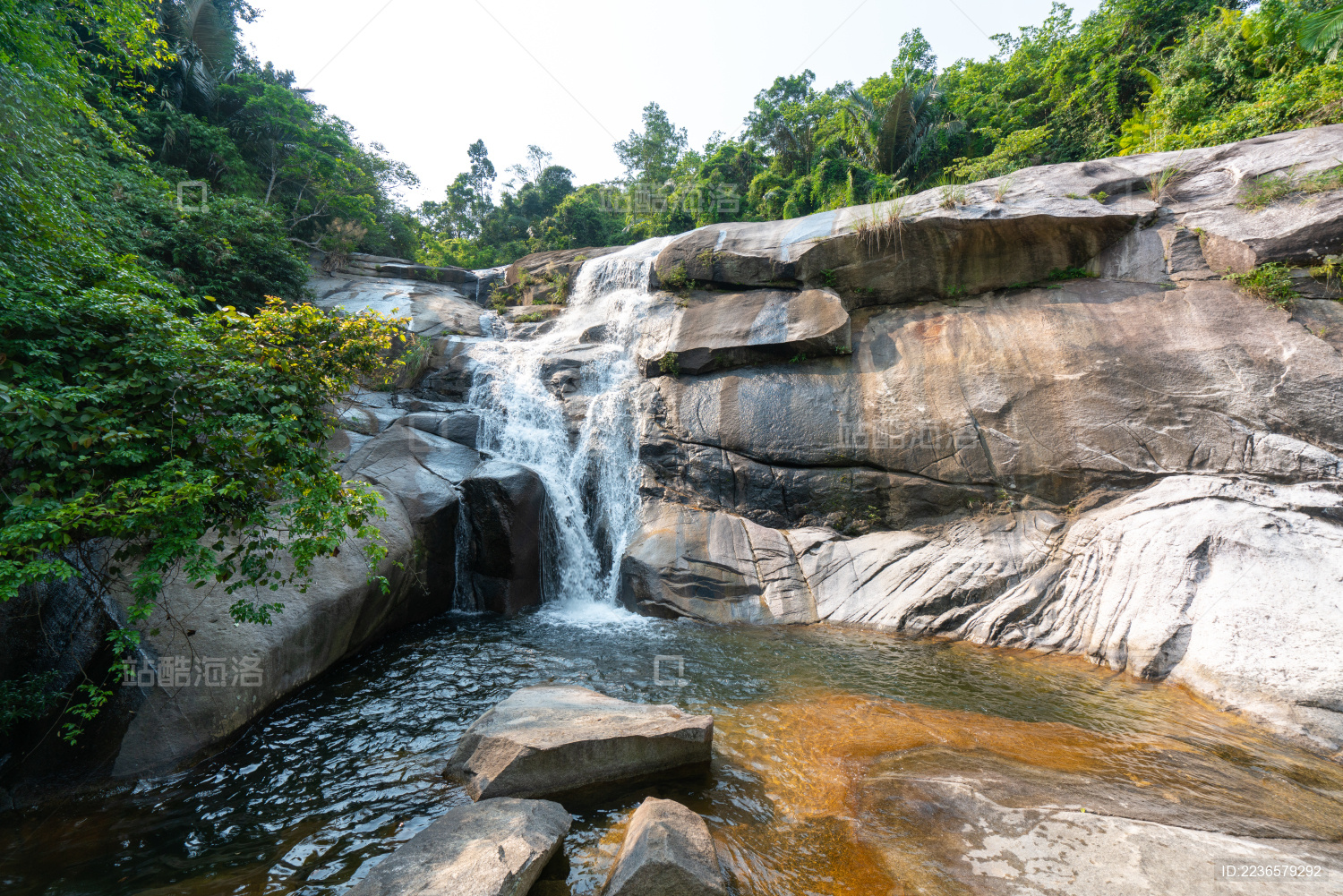 海南白马岭热带雨林自然保护区