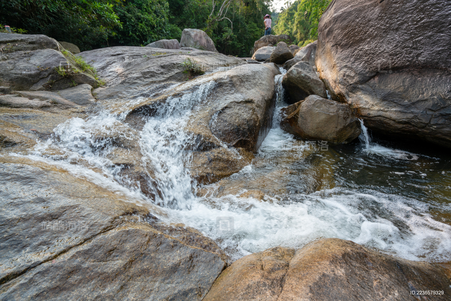 海南白马岭热带雨林自然保护区