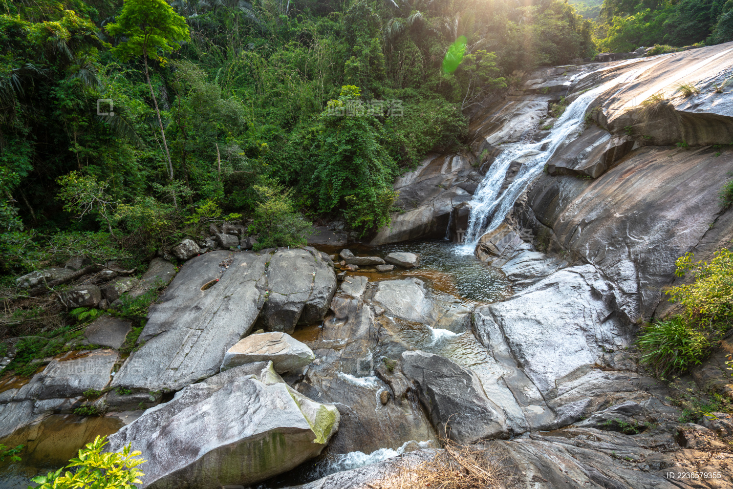 海南白马岭热带雨林自然保护区