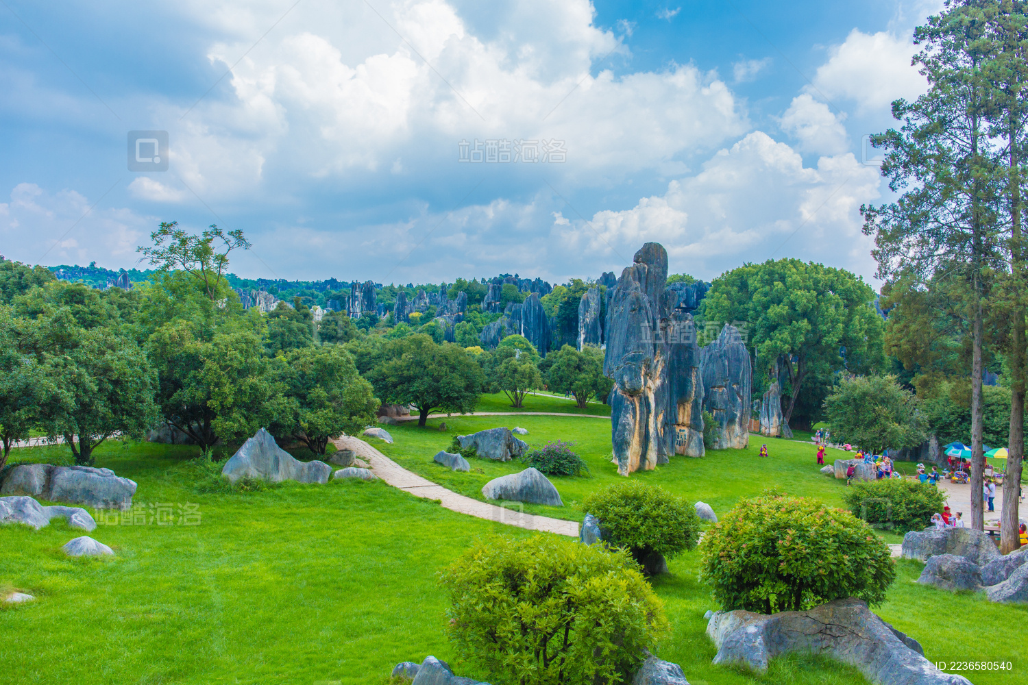 昆明石林景区的奇石