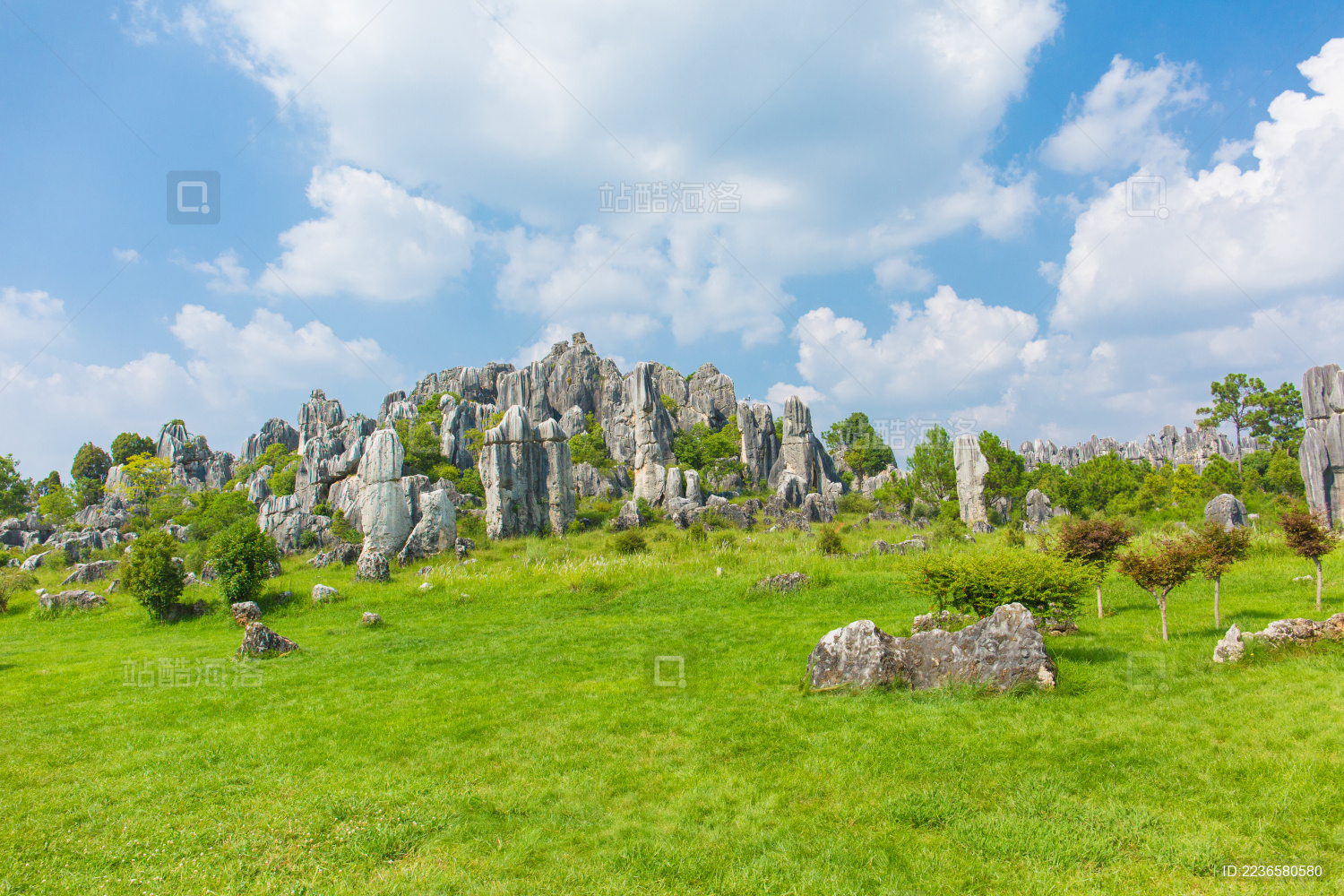 昆明石林景区的奇石