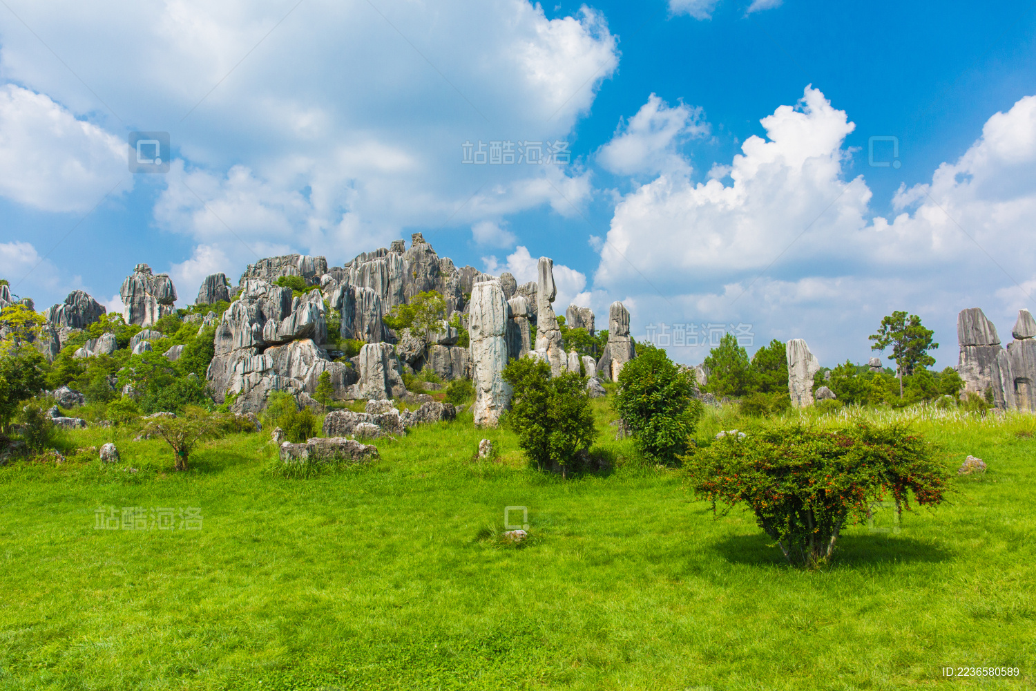 昆明石林景区的奇石