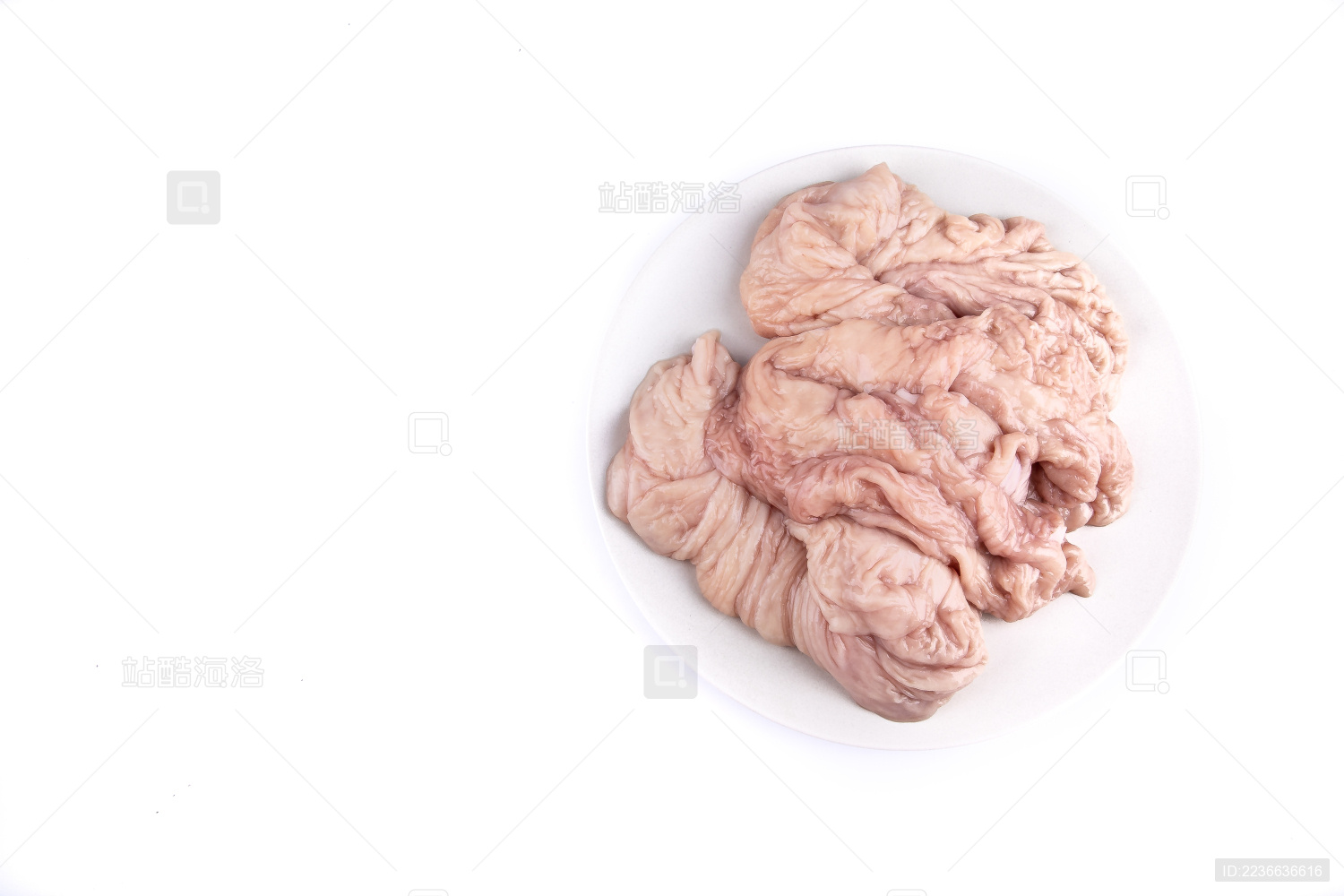 特写背景分离一盘生的猪大肠