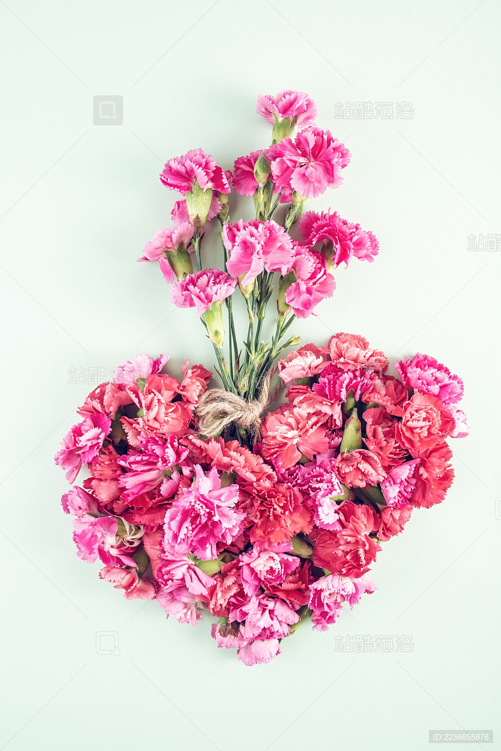 母亲节康乃馨鲜花心形海报背景素材