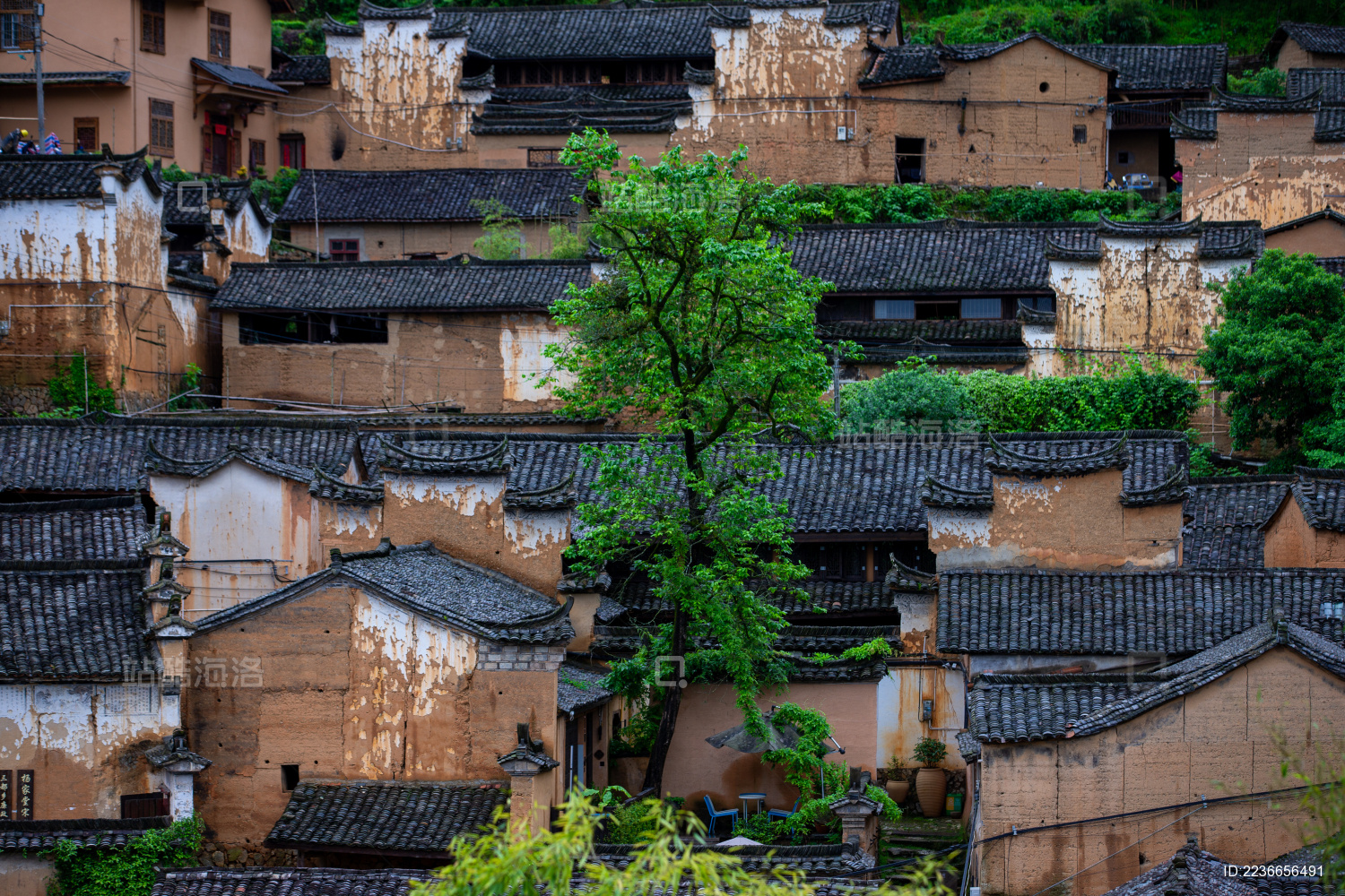丽水市松阳县古村落杨家堂村
