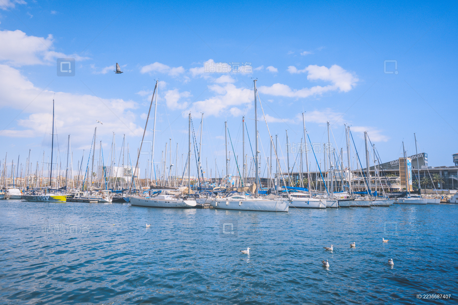 西班牙巴塞罗那 海港上的帆船