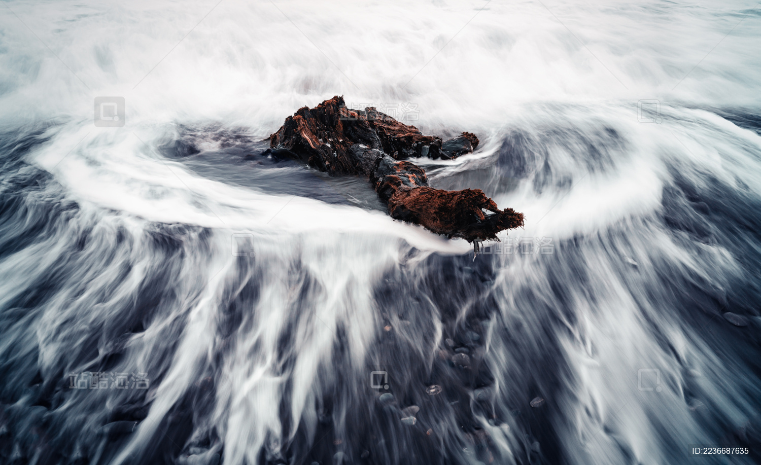 海边枯树干海浪拉丝慢门摄影