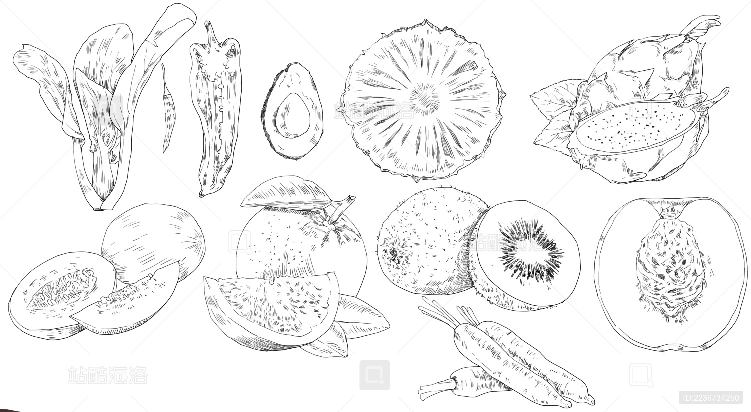 具有各种水果的无缝图案 矢量黑白轮廓图 向量例证. 插画 包括有 要素, 新鲜, 发狂, 葡萄, 楼梯栏杆 - 183878504