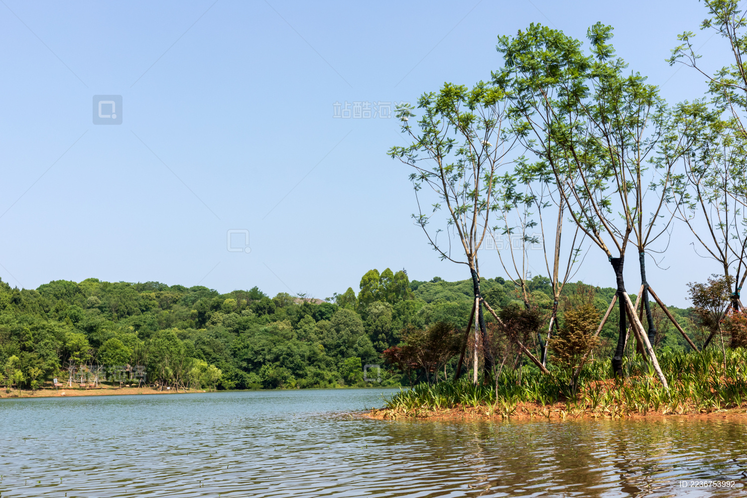 中国四川省德阳市东湖山公园自然景色