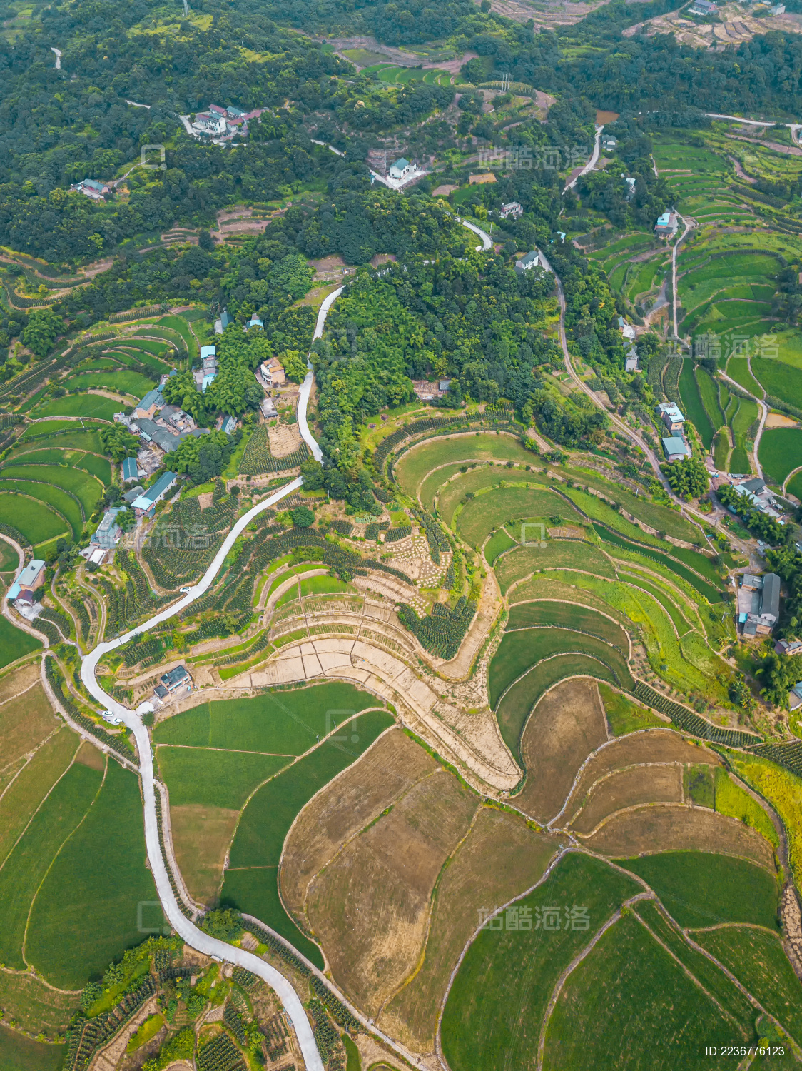 航拍视角下的重庆乡村夏季田园风光