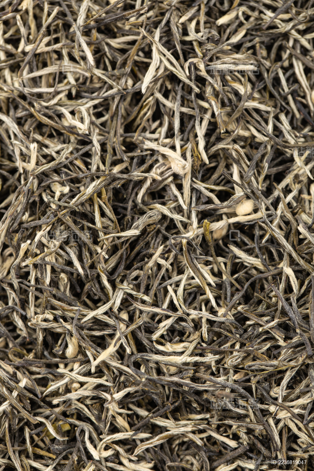 南京雨花茶茶叶背景微距特写