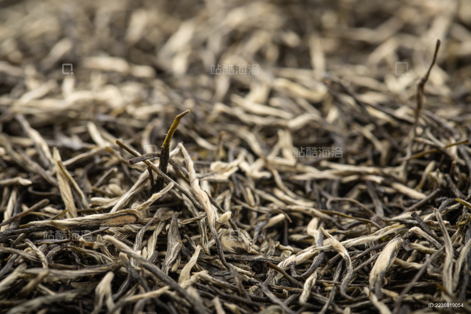 南京雨花茶茶叶背景微距特写