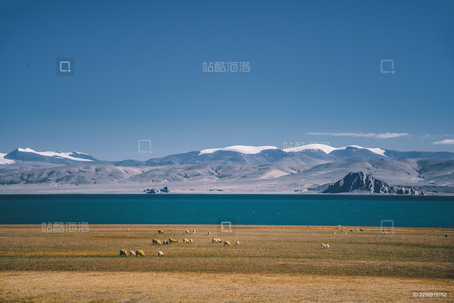 中国西藏阿里洞措乡湖泊与草原风光