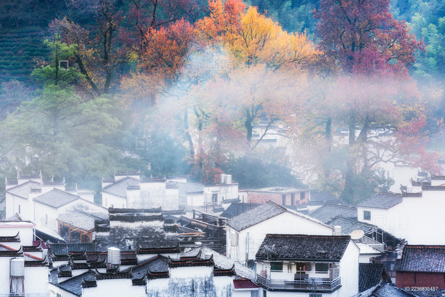 江西婺源石城日出晨雾秋色