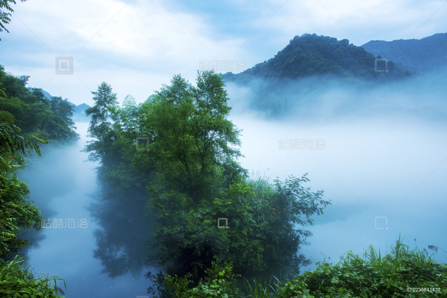 湖南郴州小东江水面上浓雾中俯拍的植物和倒影