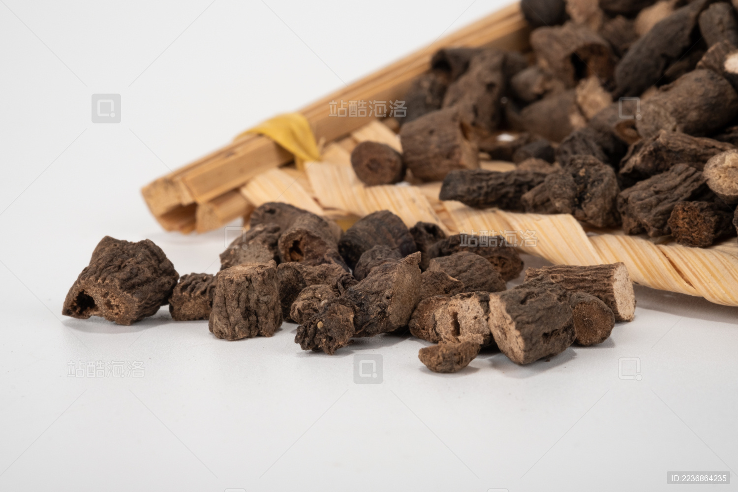 中国中草药植物药材仙茅_站酷海洛_正版图片_视频_字体_音乐素材交易平台_站酷旗下品牌