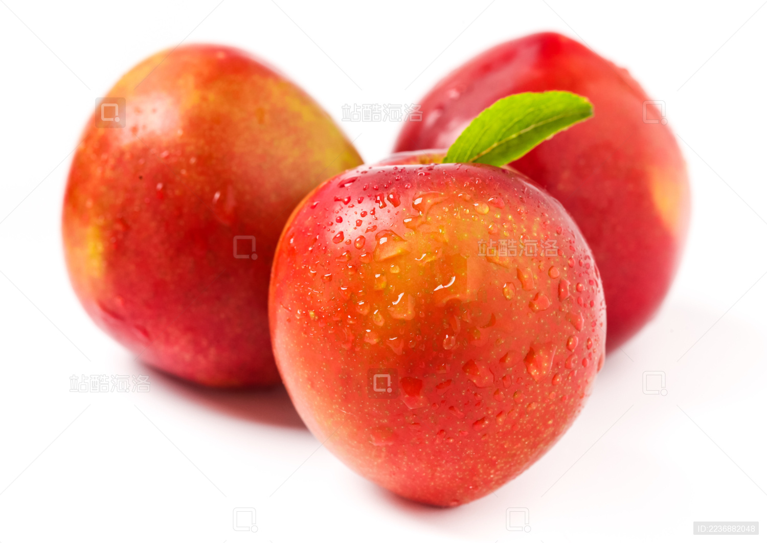白底上的三个新鲜李子