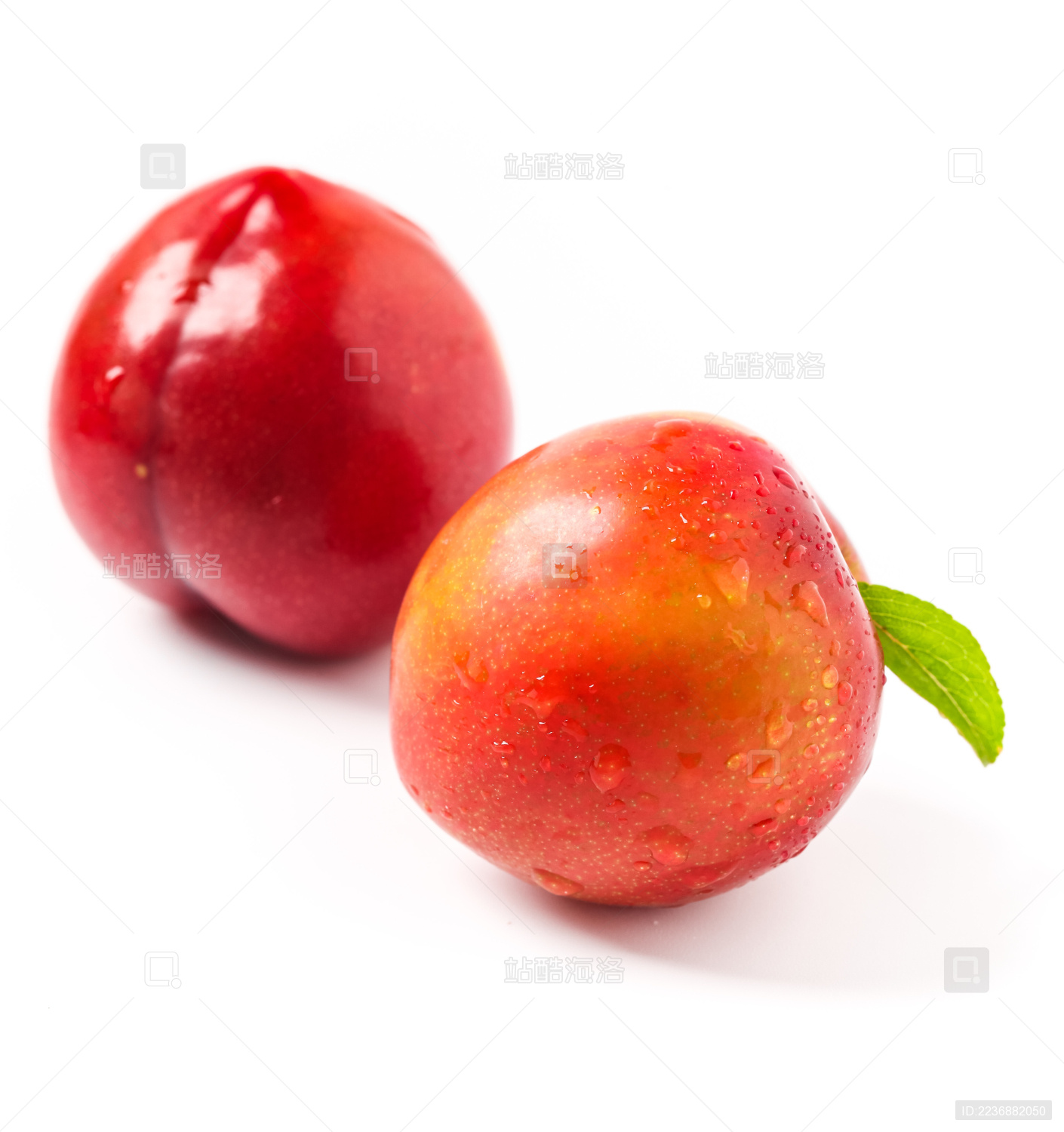 白底上的两个带叶子的李子