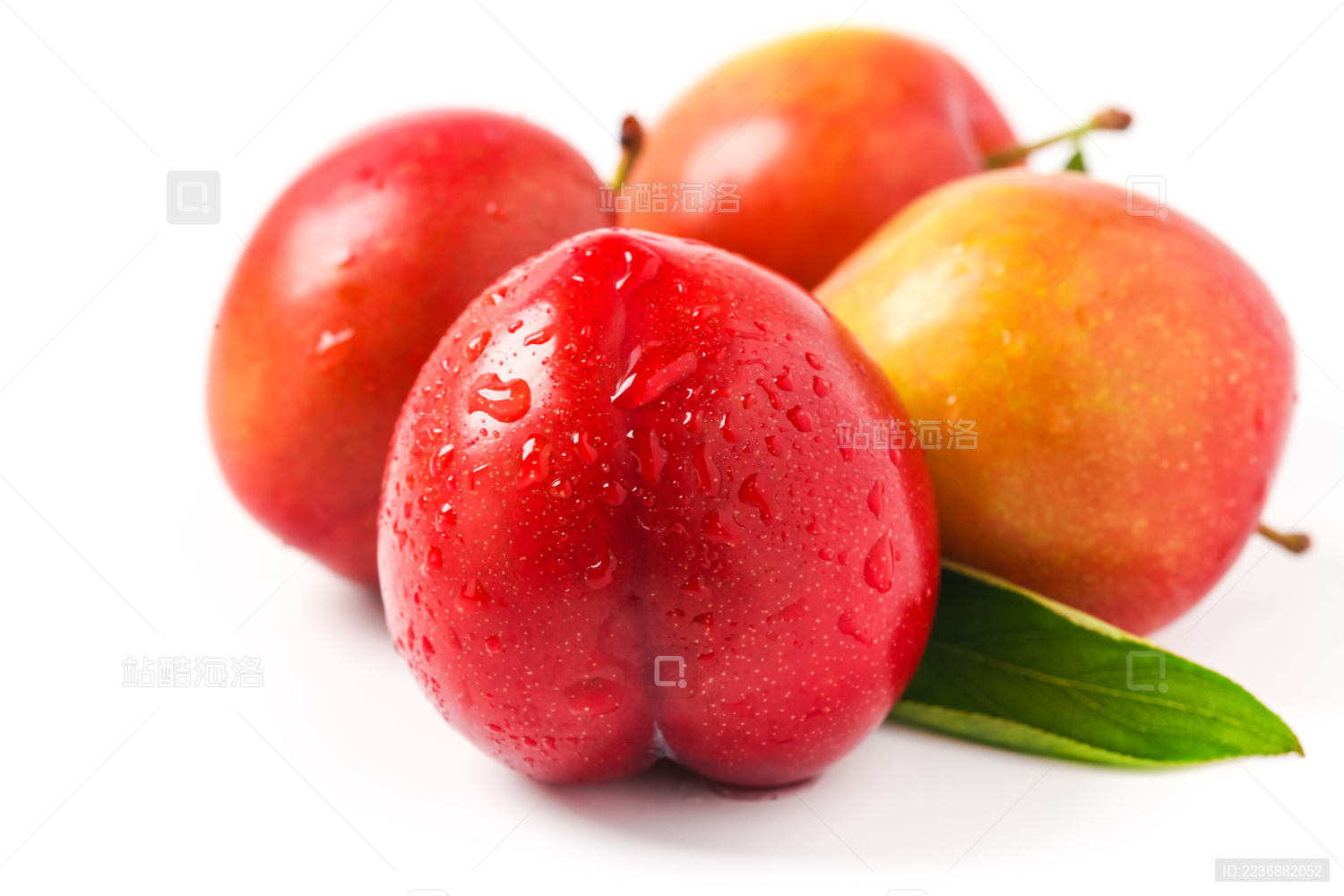 白底上的四个新鲜李子