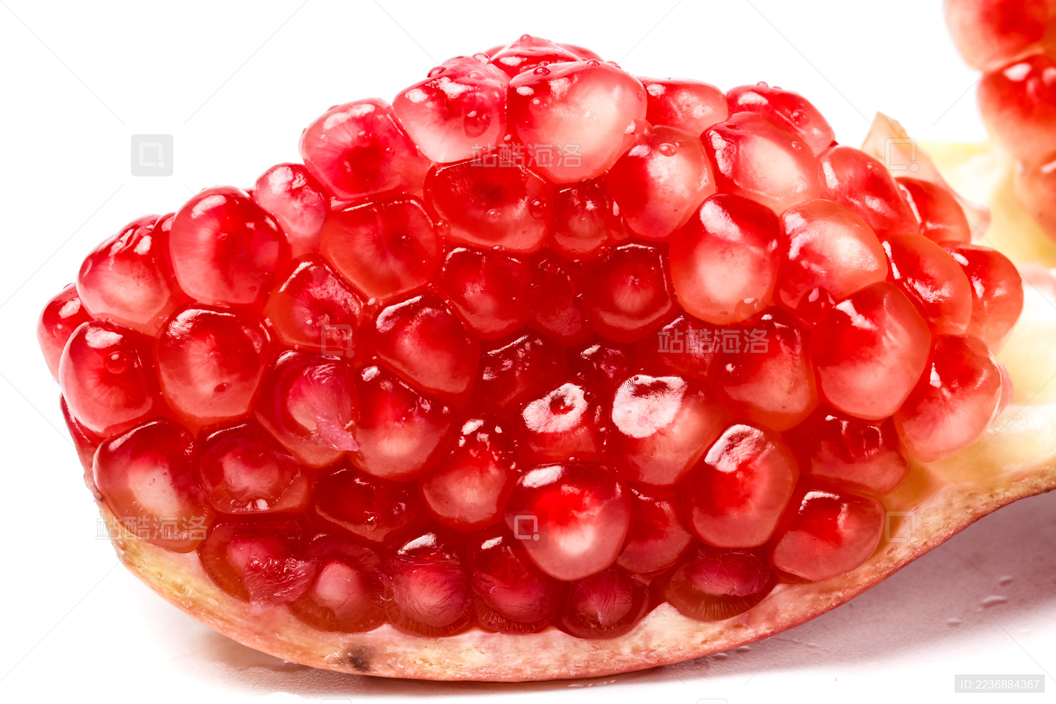 白籽蒙自石榴果肉特写